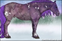 Horse Color:Watercolor White Spotted Black Ice Pearl Rabicano