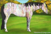 Horse Color:Buckskin Ice 