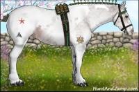 Horse Color:White Spotted Bay Tobiano Snowcap 