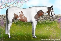 Horse Color:White Spotted Brown Splash Tobiano Rabicano