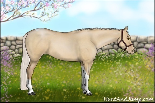 Horse Color:Silver Brown Pearl Dun Tobiano Rabicano