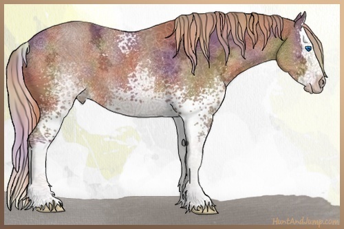 Horse Color:Nacre White Spotted Chestnut Ice Splash 
