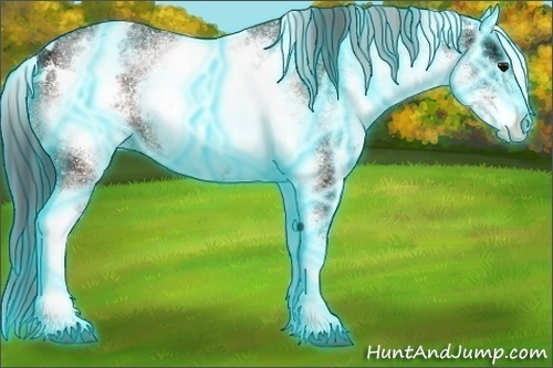 Horse Color:Thunderstruck White Spotted Bay Ice