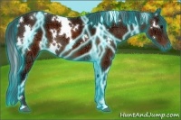 Horse Color:Thunderstruck White Spotted Brown Ice