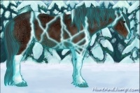 Horse Color:Thunderstruck Bay Ice Sabino Tobiano 