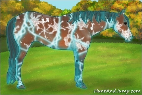 Horse Color:Thunderstruck White Spotted Bay Ice 