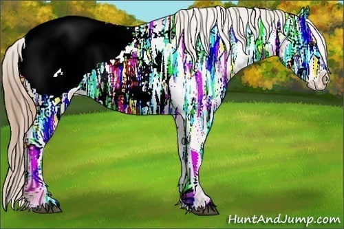 Horse Color:Liver Red Ice Roan Appaloosa 