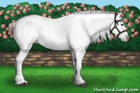 Horse Color:Bay Roan Sabino Near Fewspot
