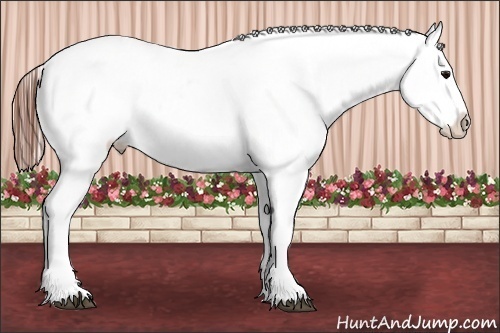 Horse Color:Black Varnish Rabicano 