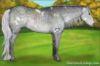 Horse Color:White Spotted Silver Grullo Chinchilla 