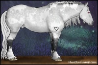 Horse Color:White Spotted Silver Grullo Chinchilla Roan Rabicano 