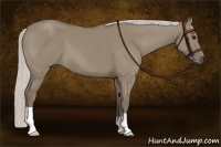 Horse Color:Silver Smoky Grullo
