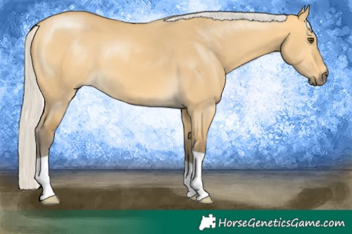 Horse Color:Silver Buckskin Dun 