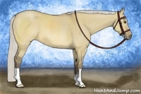Horse Color:Silver Buckskin Dun 
