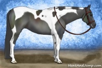 Horse Color:Smoky Black Tobiano 