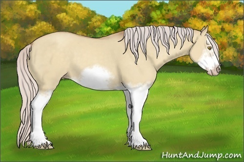 Horse Color:Silver Classic Champagne Dun Splash Frame 