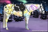 Horse Color:Black Appaloosa Rabicano 