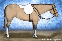Horse Color:Buckskin Roan Tobiano 