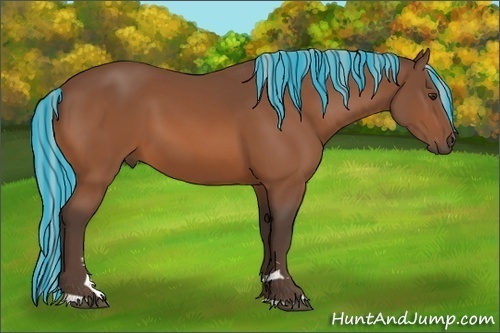 Horse Color:Painted Silver Bay Sabino