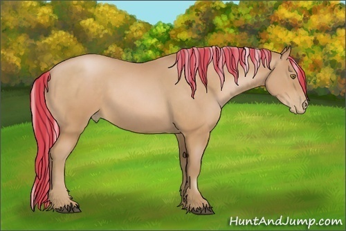 Horse Color:Painted Silver Bay Pearl Sabino 