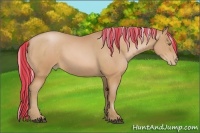 Horse Color:Painted Silver Bay Pearl Sabino 