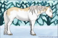Horse Color:Silver Classic Champagne Dun Splash Frame 