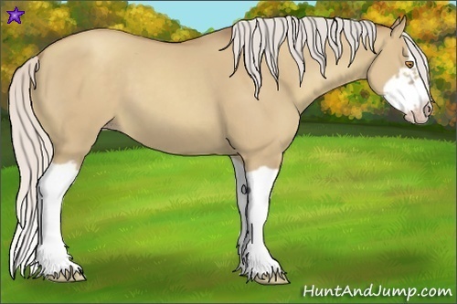 Horse Color:Silver Classic Champagne Dun Splash Frame 