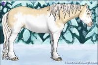 Horse Color:Silver Classic Champagne Dun Splash Frame 