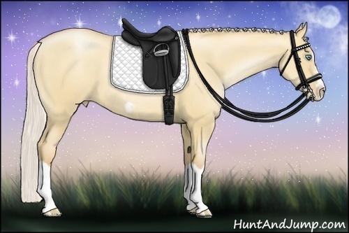 Horse Color:Silver Classic Champagne Pearl Dun Splash Frame 