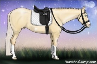 Horse Color:Silver Classic Champagne Pearl Dun Splash Frame