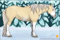 Horse Color:Silver Classic Champagne Dun Splash Frame 