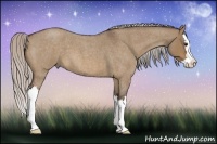 Horse Color:Silver Bay Roan Dun Splash 