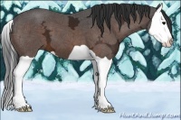 Horse Color:Bay Ice Splash 