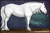 Horse Color:Silver Black Chinchilla Splash Appaloosa