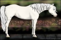 Horse Color:Silver Perlino Dun 