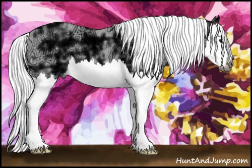 Horse Color:Gray Black Ice Splash 