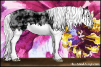 Horse Color:Gray Black Ice Splash 