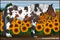 Horse Color:White Spotted Brown 