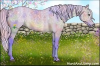 Horse Color:Nacre Watercolor Silver Buckskin Ice Sabino 