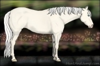 Horse Color:Silver Perlino Dun 