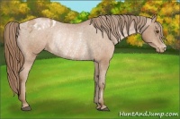 Horse Color:Brown Pearl Varnish Rabicano 