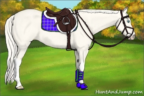 Horse Color:Cremello Dun 