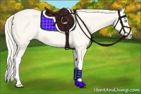 Horse Color:Cremello Dun 