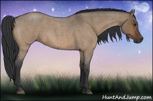 Horse Color:Bay Roan Dun