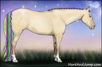 Horse Color:Painted Silver Bay Roan Pearl Dun