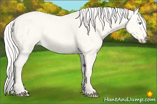 Horse Color:Silver Perlino Dun