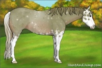 Horse Color:Watercolor Red Roan Splash 