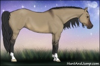 Horse Color:Brown Dun 