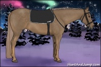 Horse Color:Chocolate Palomino 
