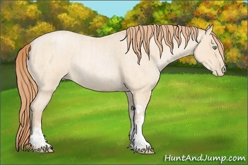 Horse Color:Buckskin Roan Pearl  and Buckskin Roan Pearl 